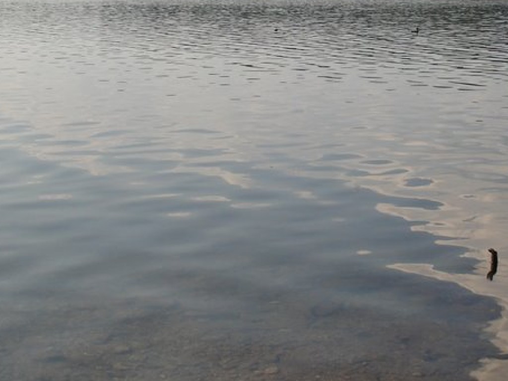 В Житомирской области на озере утонуло двое 10-летних детей