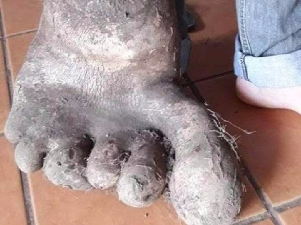 В Бразилии огородник нашел «ногу великана» (ФОТО)