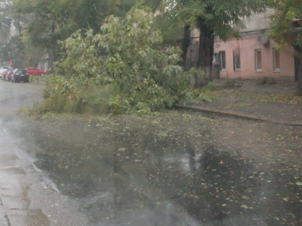 Дождь и шквалистый ветер: появились видео разгула стихии в Ивано-Франковской области