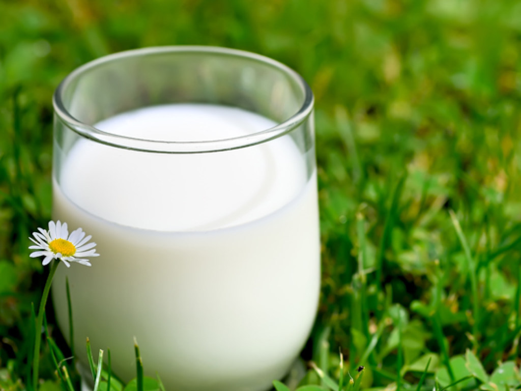 Осенью темпы подорожания молока в Украине ускорятся – эксперт