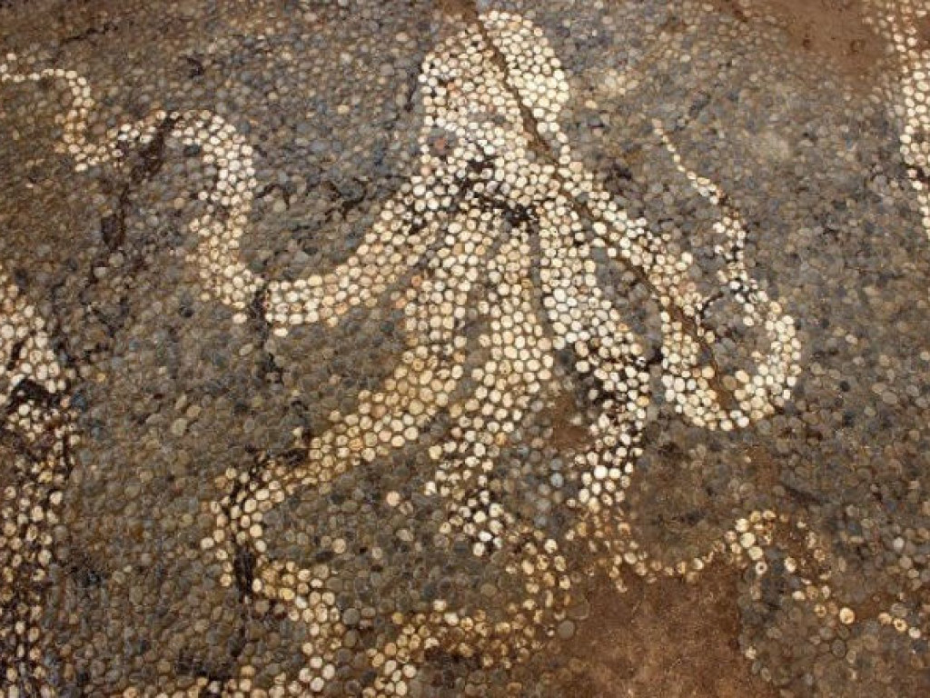 На западе Греции нашли артефакт: мозаику из гальки с изображением водных  животных (ФОТО)