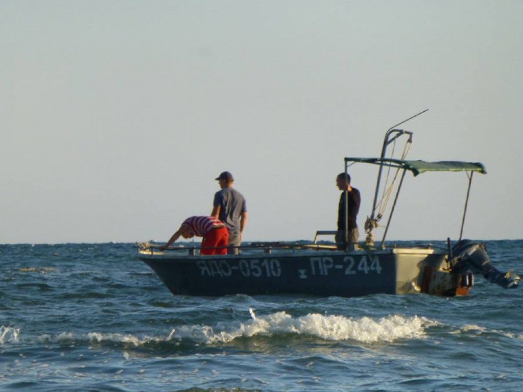 Водные концлагеря: В Сети показали незаконный вылов дельфинов в Черном море (ФОТО)