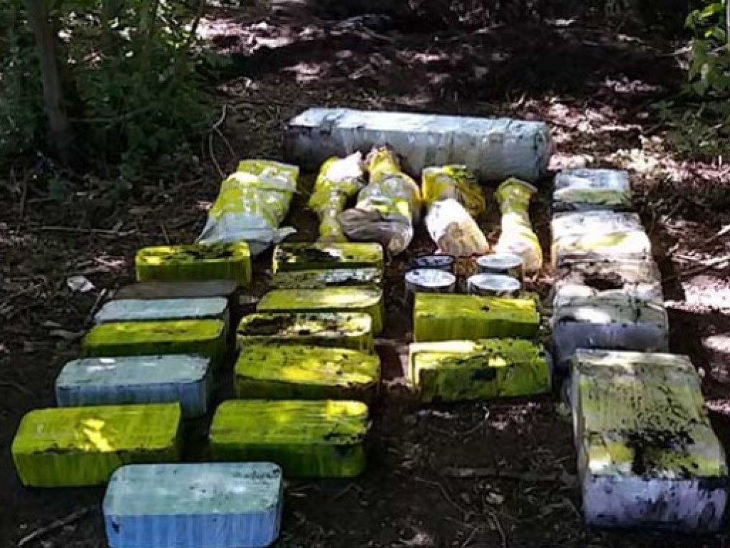60 гранат, 16 ящиков с патронами: Тайник с оружием нашли в лесополосе в Днепропетровской области (ФОТО)