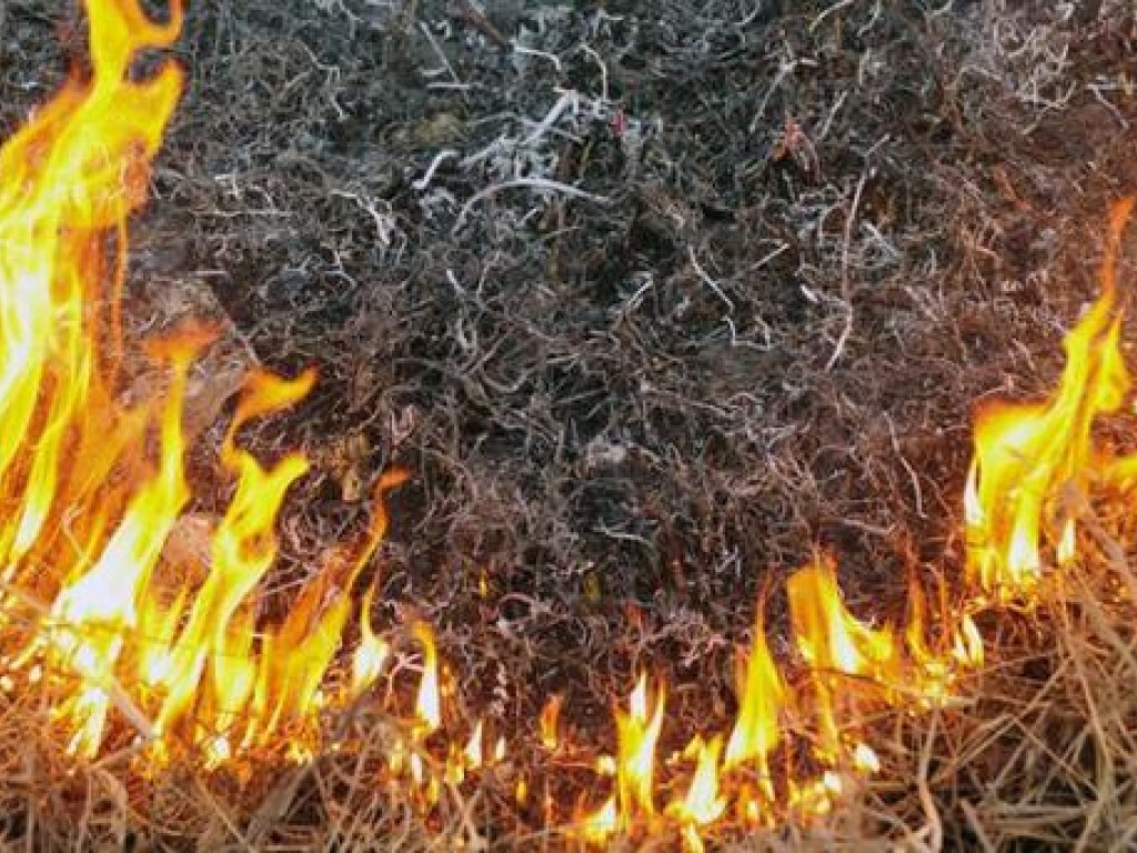 В Украине объявили чрезвычайный уровень пожарной опасности