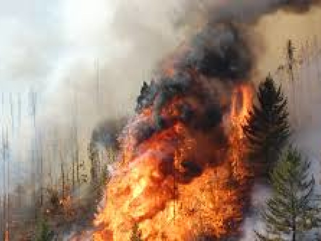 После грозы в Канаде появилось 140 новых очагов лесных пожаров