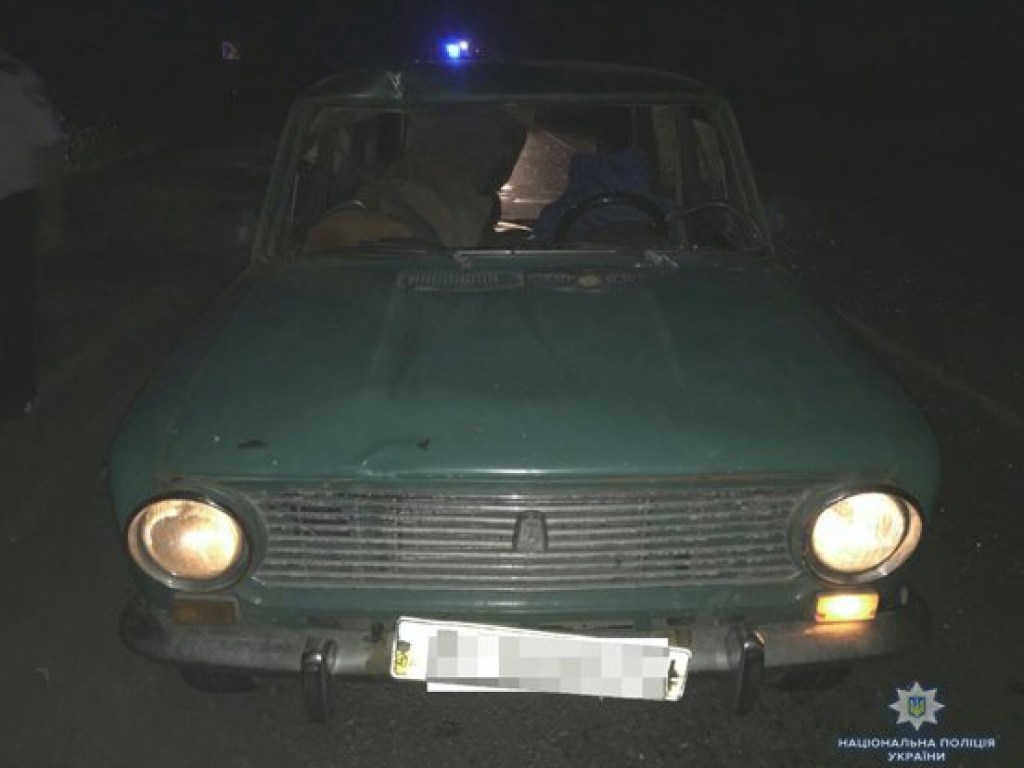 Под Южноукраинском «ВАЗ» сбил пьяного пешехода (ФОТО)