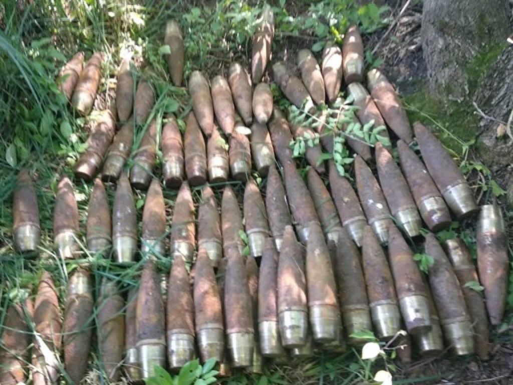 На Черкасчине нашли 75 боеприпасов времен Второй мировой (ФОТО)