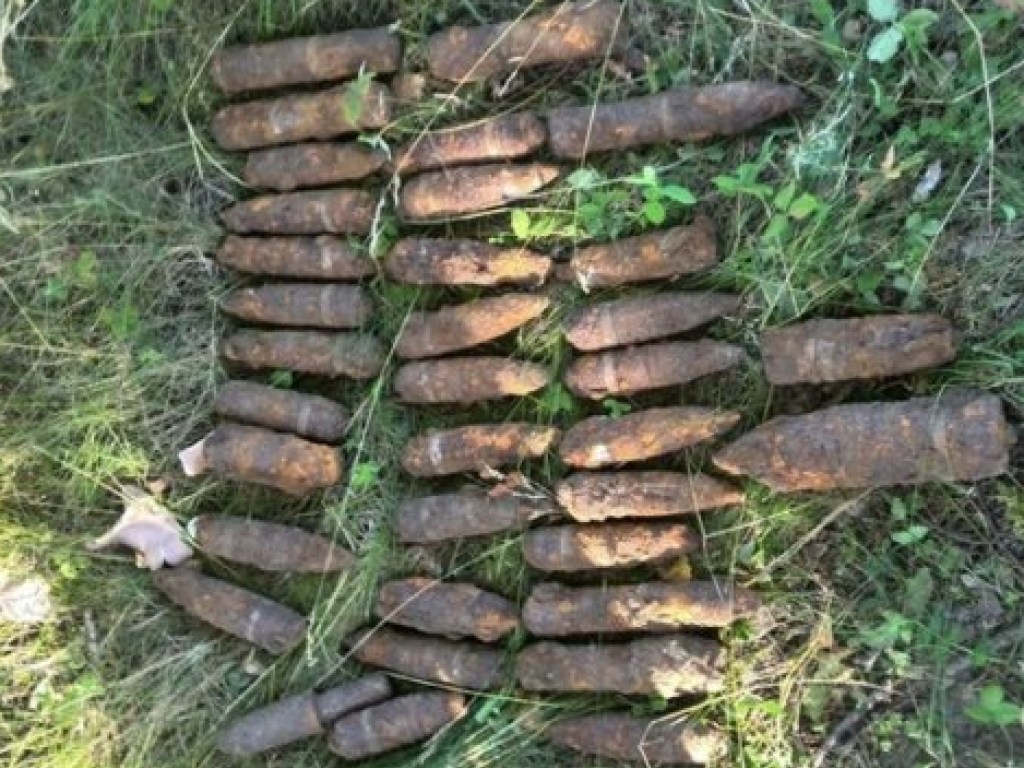 Под Одессой нашли захоронение 165 мин ВМВ (ФОТО)