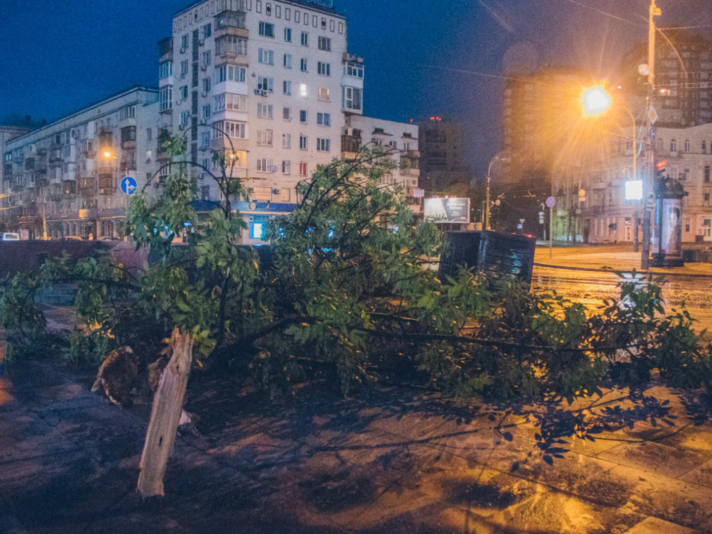 Грозовой ливень и шквалы: киевлян предупредили об ухудшении погодных условий