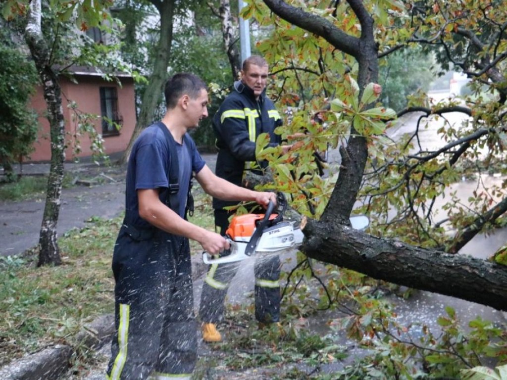 Спасатели рассказали о ходе ликвидации последствий урагана в Киеве (ФОТО, ВИДЕО)