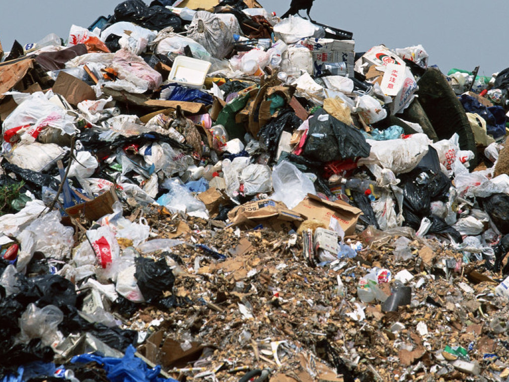 Эколог: в Украине 99% мусорных свалок не соответствуют экологическим нормам
