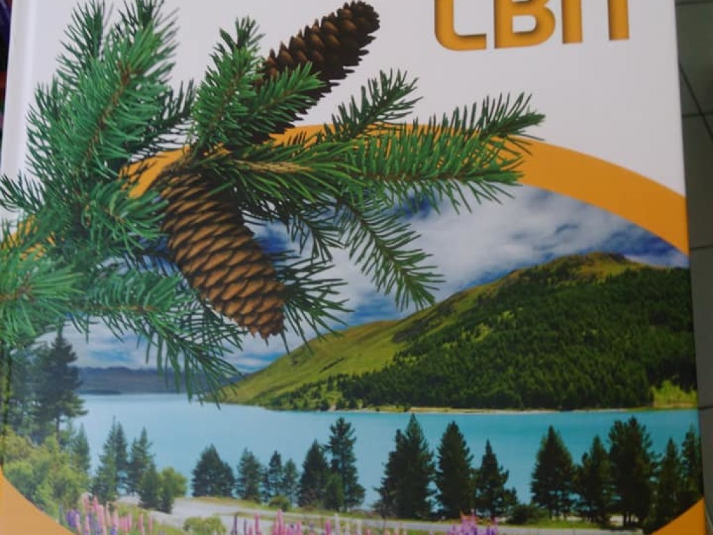 Ошибка дизайнера: В Украине вышла детская книга с изображением Крыма в составе РФ