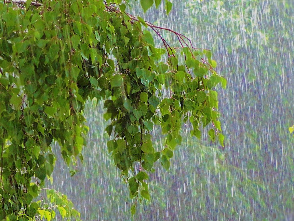 Синоптик: На выходных в Украине местами ожидаются дожди с грозами (КАРТА)