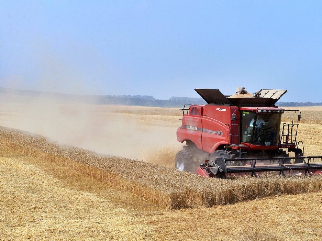 Украинские аграрии намолотили 34 миллиона тонн зерновых