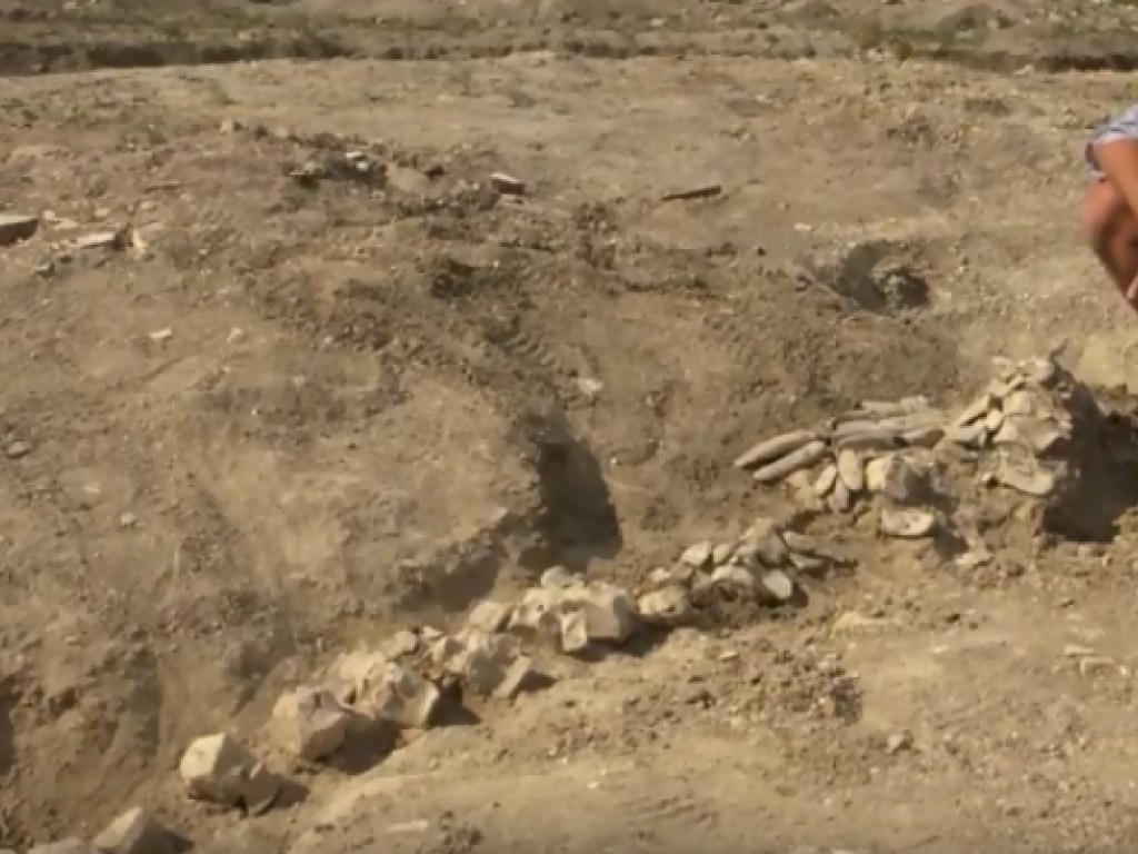 На Керченском полуострове обнаружили скелет древнего кита (ВИДЕО)