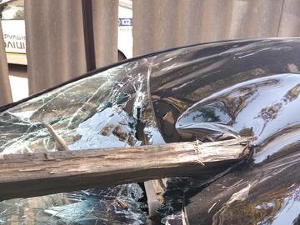 В сантиметре от головы водителя: в Харькове в результате ДТП бревно прокололо салон Hyundai (ФОТО)