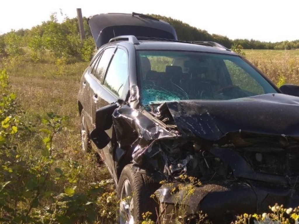 В Харьковской области экс-чиновник на Lexus влетел в ВАЗ: 3 человека погибли (ФОТО)
