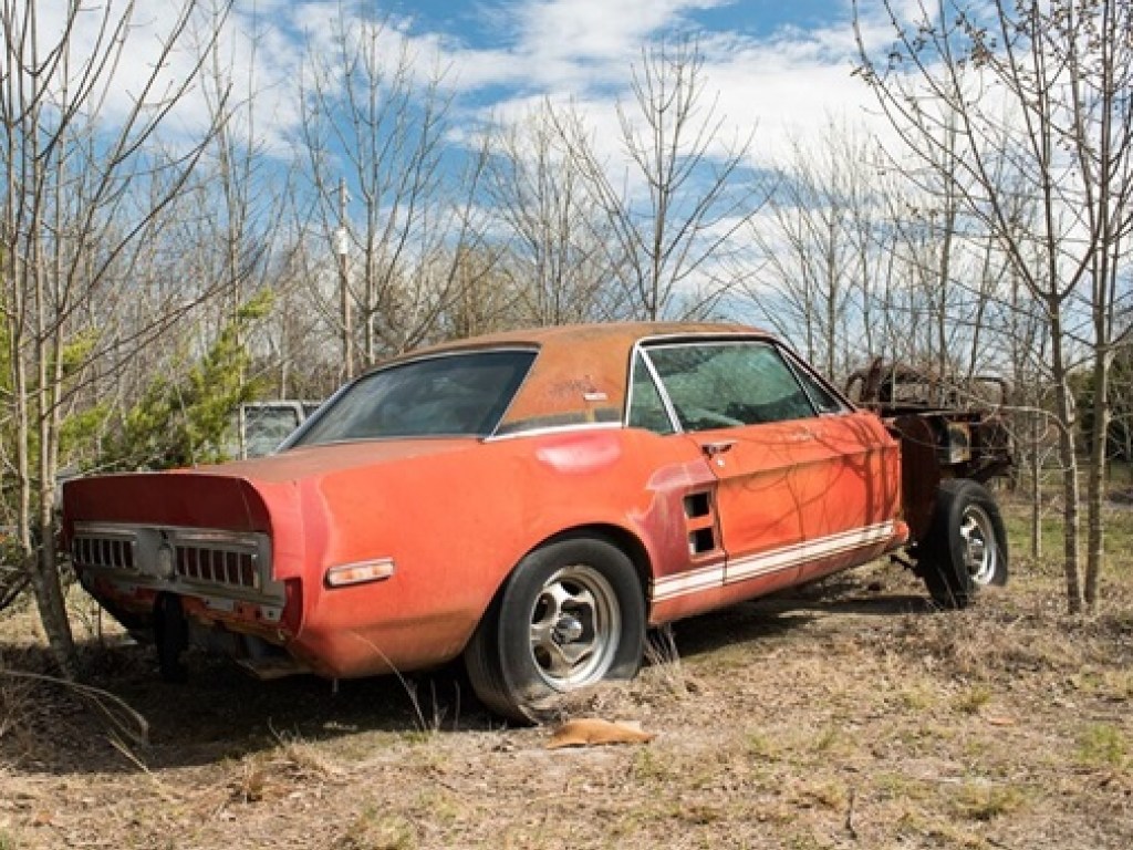 В США отыскали редкий Mustang (ФОТО, ВИДЕО)