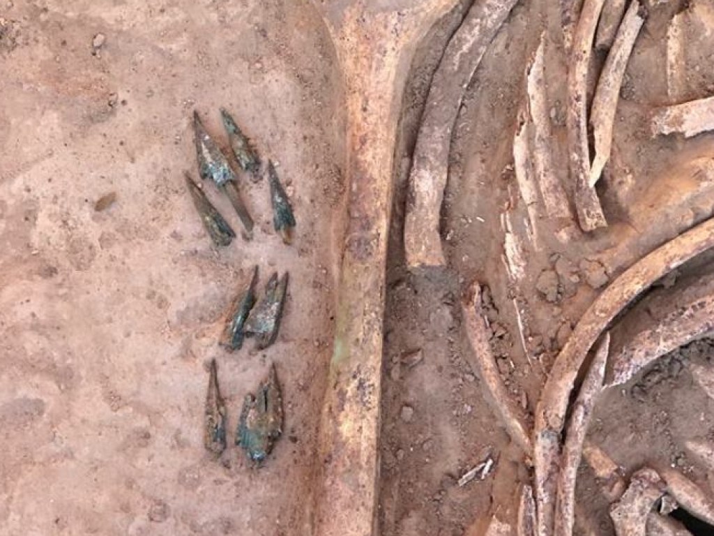В Запорожье археологи обнаружили древнее захоронение женщины-воина Скифии (ФОТО)