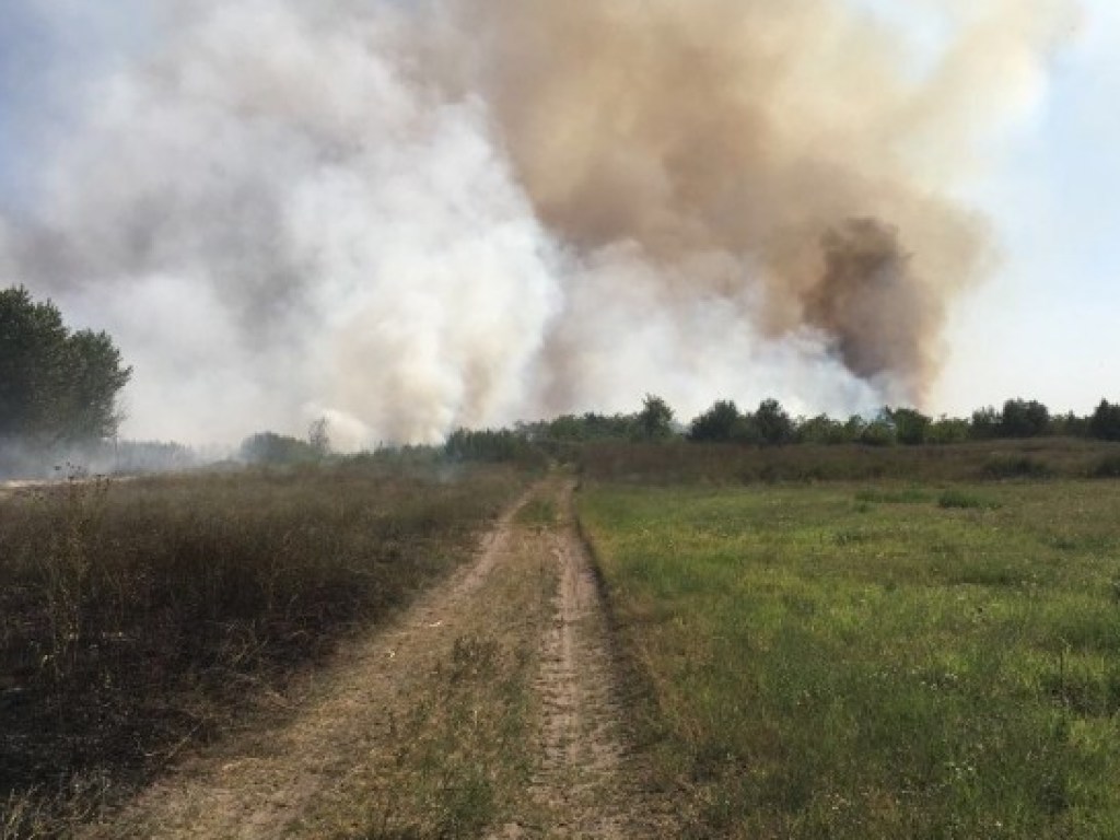 Пожар на пяти гектарах: в Херсонской области горел камыш (ФОТО)