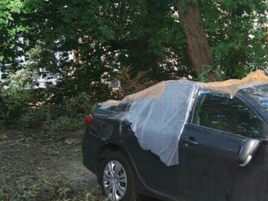 В Киеве на улице Богдана Хмельницкого дерево упало на машину (ФОТО)