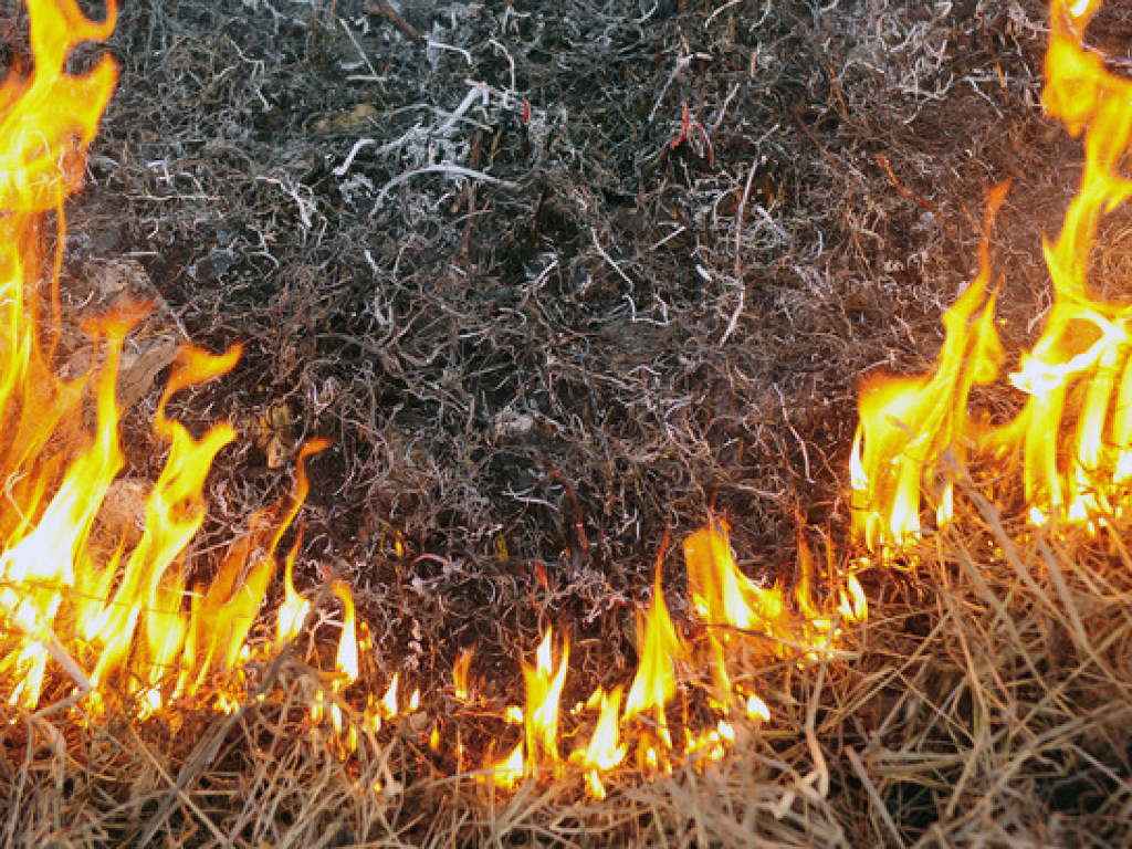 На Днепропетровщине мужчина тушил пожар и получил ожоги ног
