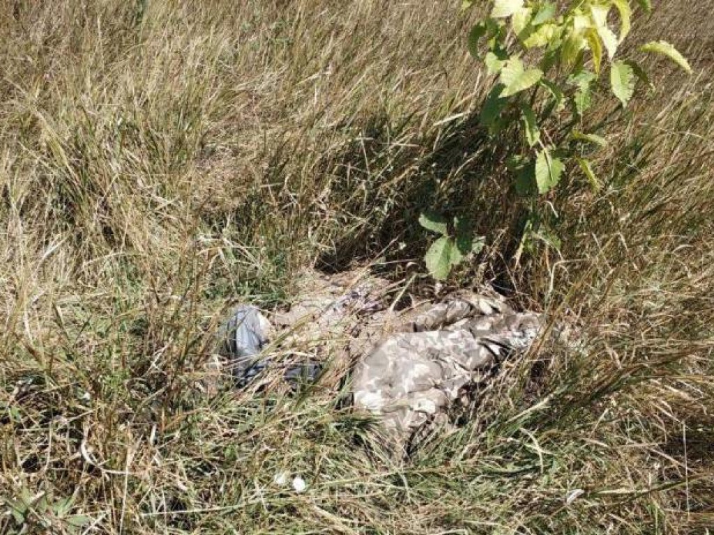 В Запорожье в лесопосадке нашли человеческие останки (ФОТО)