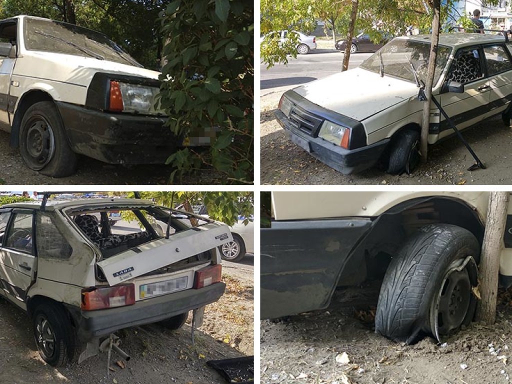 В Запорожской области Lada без водителя врезалось в дерево (ФОТО)