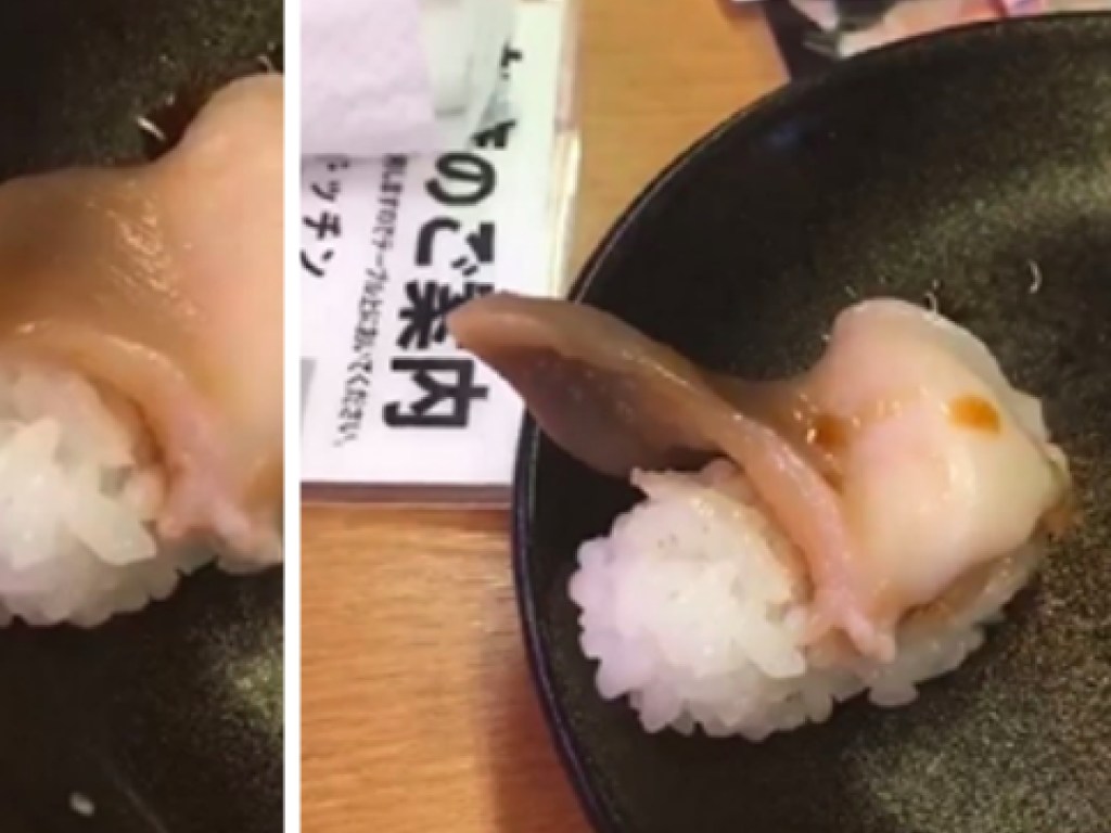 В ресторане суши чуть не сбежали из тарелки посетителя (ФОТО, ВИДЕО)