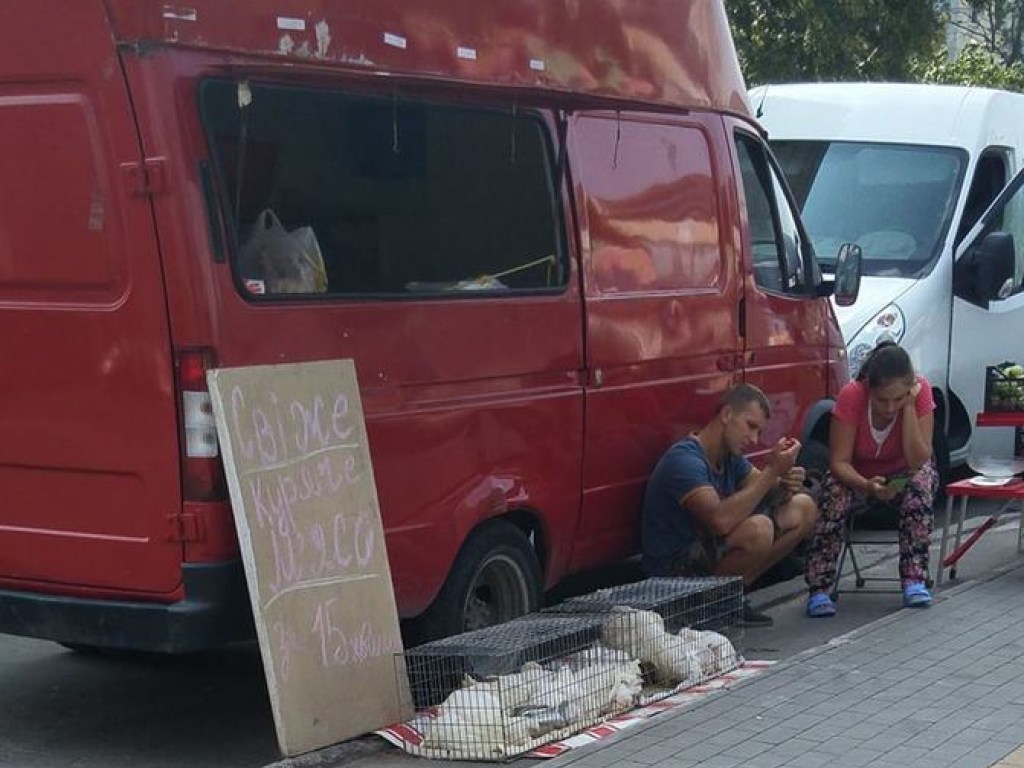 На столичной Оболони продавцы свежего мяса предлагают убить и обработать курицу прямо на улице (ФОТО)