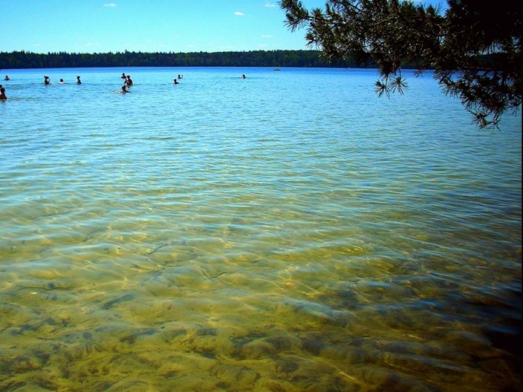 Трагедия на Шацких озерах: в водоеме утонули мать и 11-летний сын (ВИДЕО)