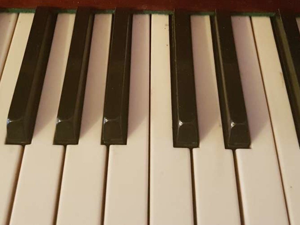 Сеть насмешила экспрессивная игра собаки на пианино  (ВИДЕО)
