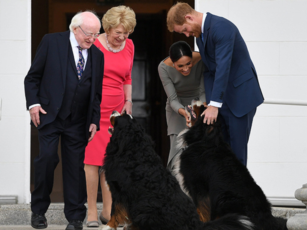 Как у королевы Елизаветы: Меган Маркл и принц Гарри завели собаку (ФОТО)