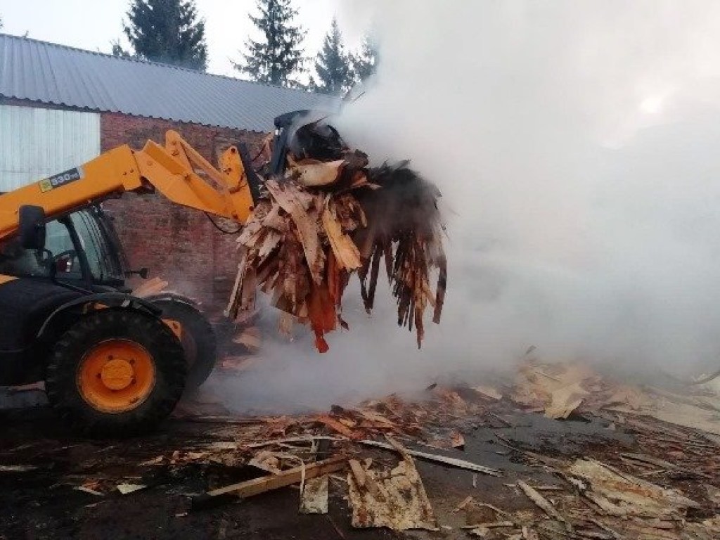 В Житомирской области загорелось предприятие по обработке дерева  (ФОТО)