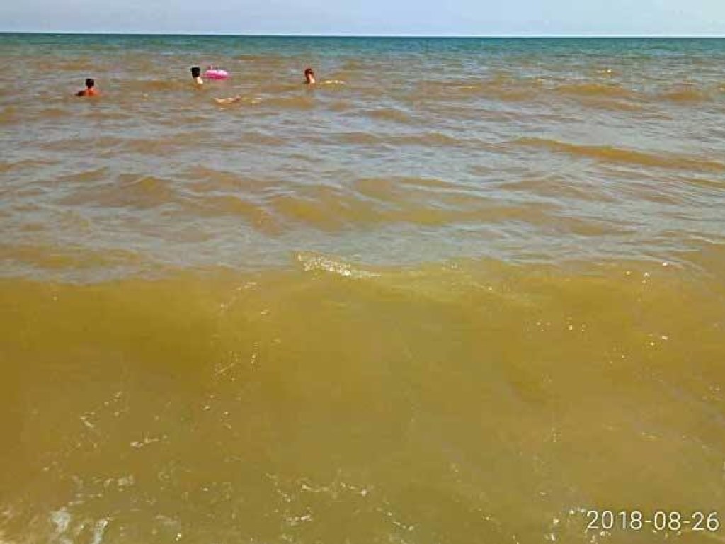 На Одесчине вода в Черном море резко изменила цвет (ФОТО)