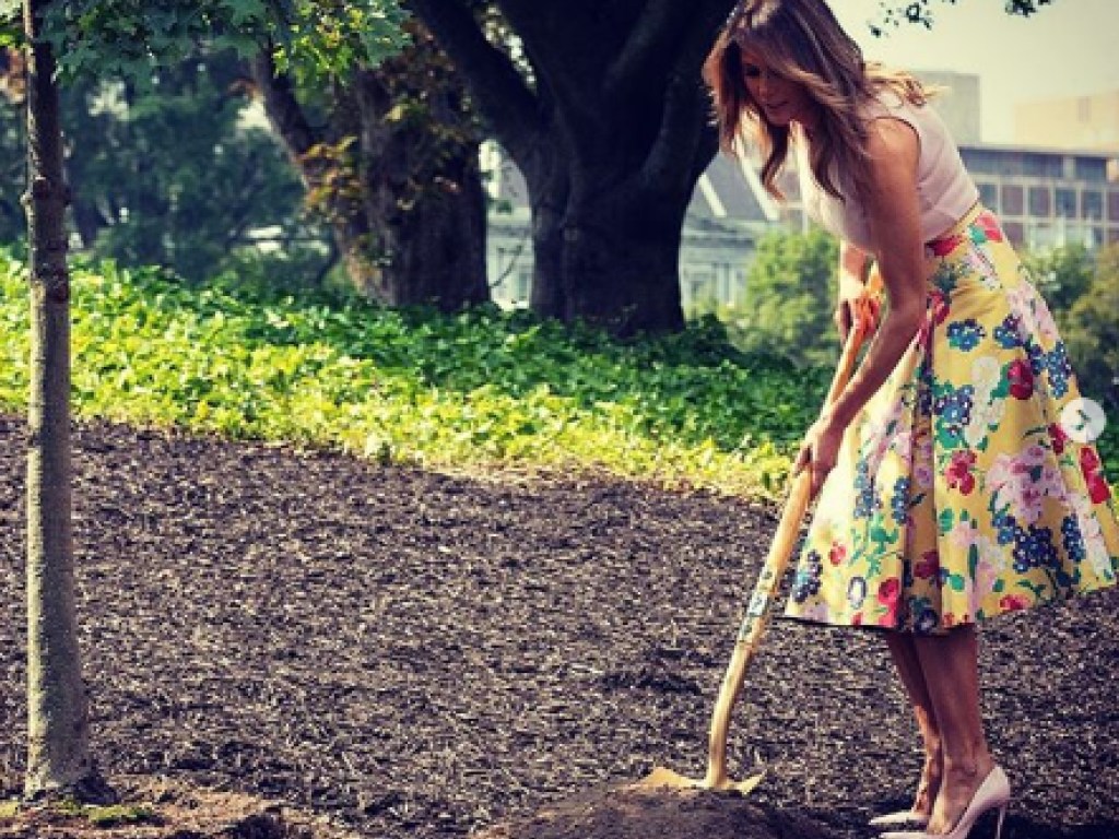 Посадила дуб: Мелания Трамп на шпильках с лопатой появилась на лужайке перед Белым Домом (ФОТО)
