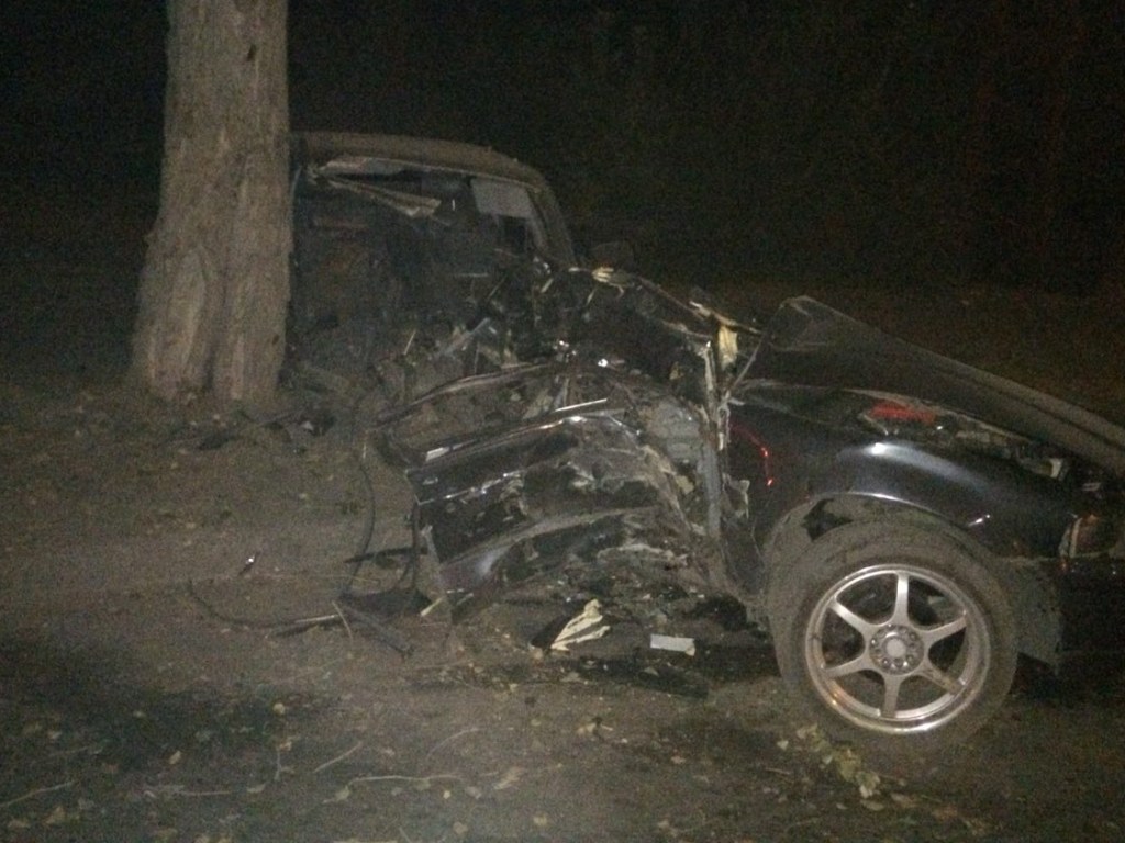 В Кривом Роге Honda влетела в дерево, пострадал водитель (ФОТО)
