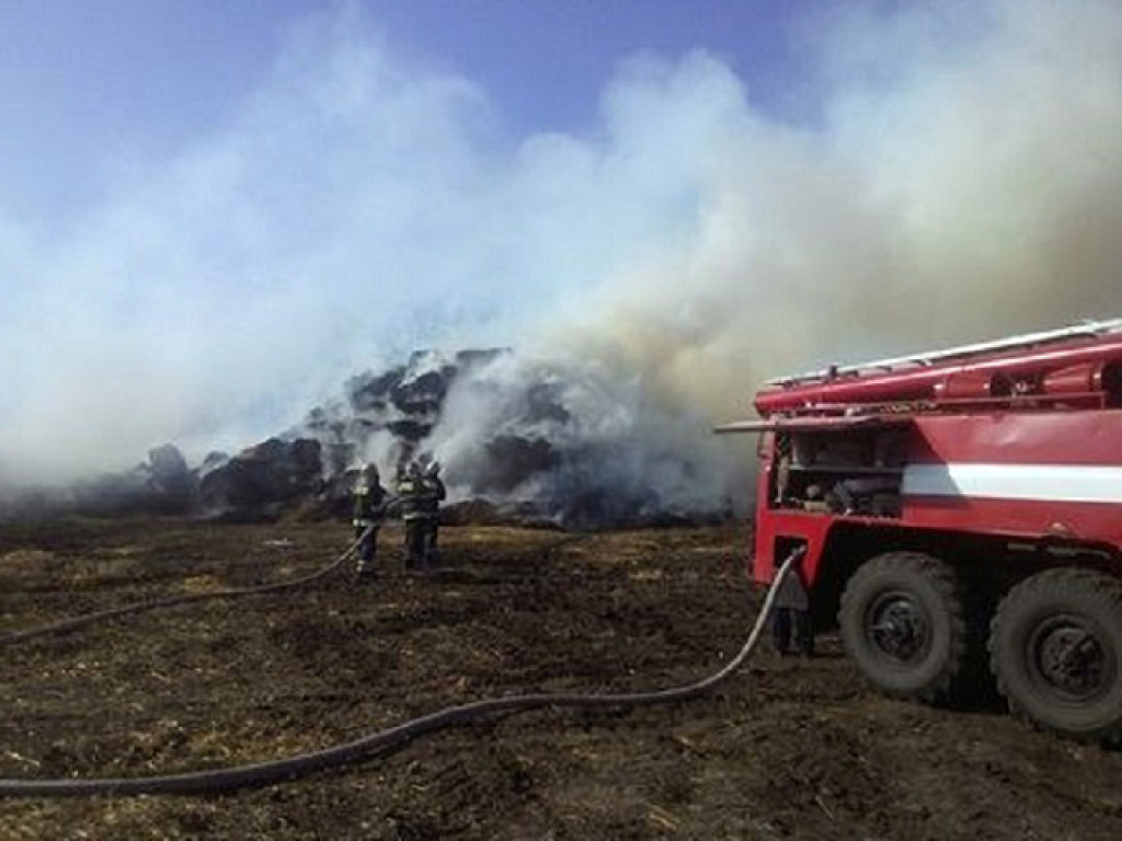 На ферме в Киевской области произошел пожар (ФОТО)