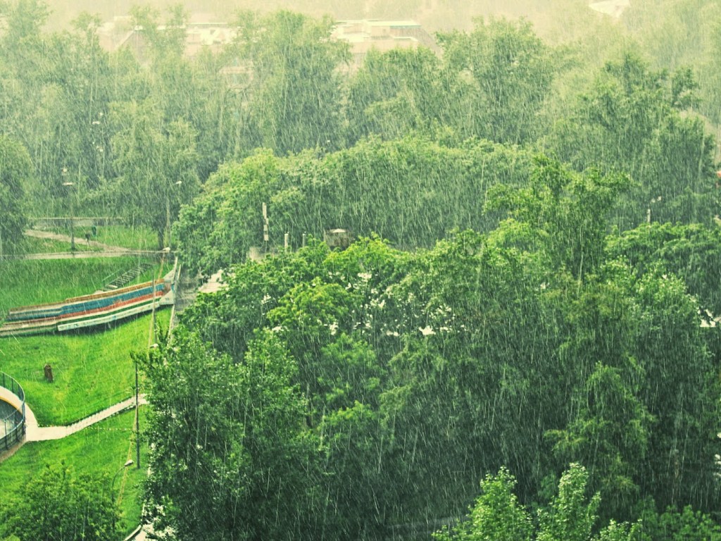 Синоптик: 30 августа на востоке Украины начнутся дожди, но летний гардероб еще понадобится