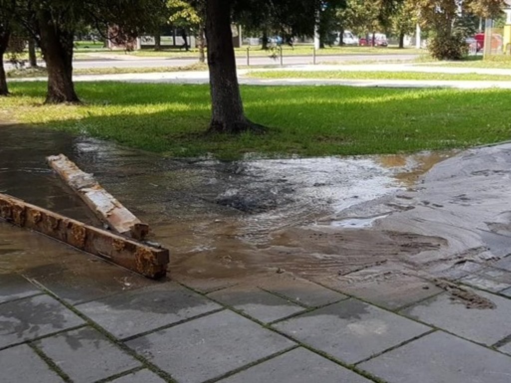 Во Львове уже вторые сутки бьет «фонтан» сквозь асфальт, заливая улицу  (ФОТО, ВИДЕО)