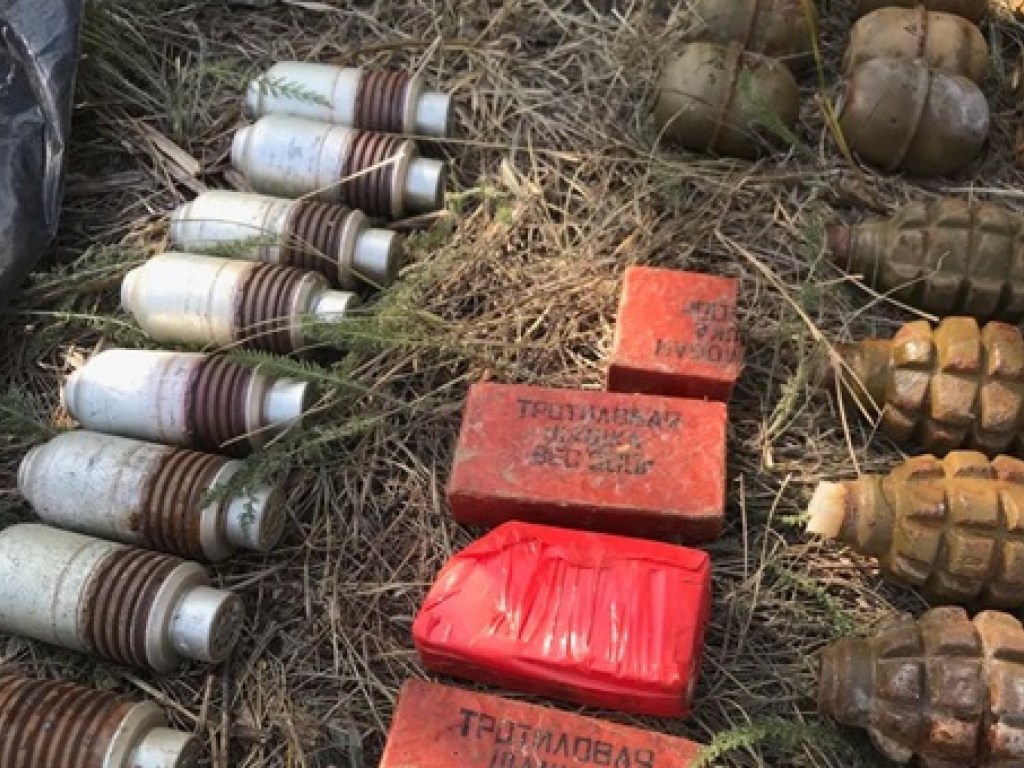 400 патронов, 19 гранат: На кладбище нашли крупный тайник с боеприпасами (ФОТО)