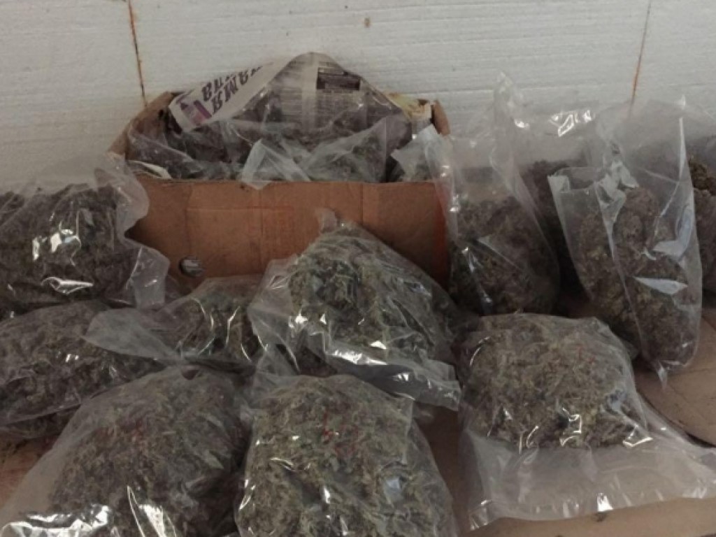 В Запорожской области полицейские обнаружили наркотики на сумму более 4,5 миллиона гривен (ФОТО)