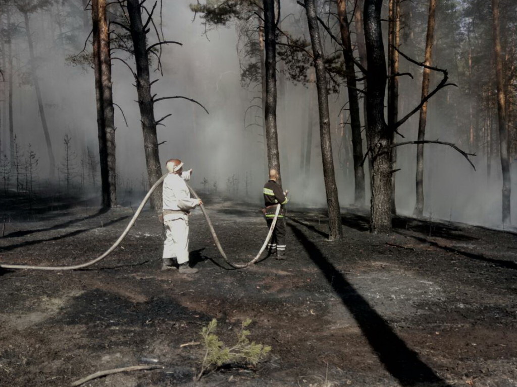 В Балаклейском лесхозе на Харьковщине 4 часа не могли потушить пожар (ФОТО)