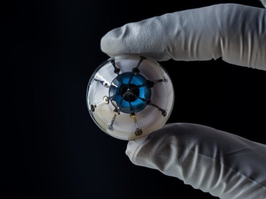 В США впервые напечатали бионический глаз на 3D-принтере (ФОТО, ВИДЕО)