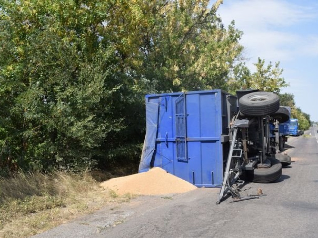 Перевернулся прицеп: Под Николаевом грузовик «засеял» дорогу 10 тоннами пшеницы (ФОТО)