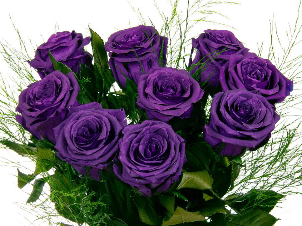 Мама тернопольского школьника купила  учительнице букет из фиолетовых роз за 800 гривен
