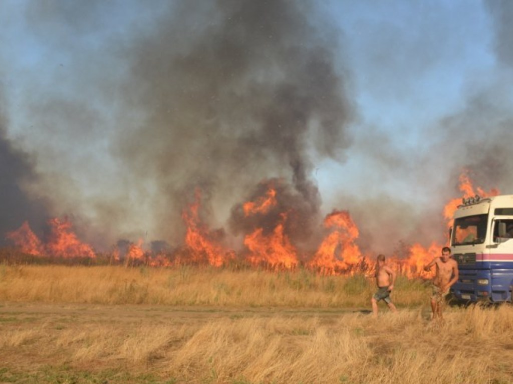 В Николаевской области за сутки выгорело 18 гектаров сухостоя