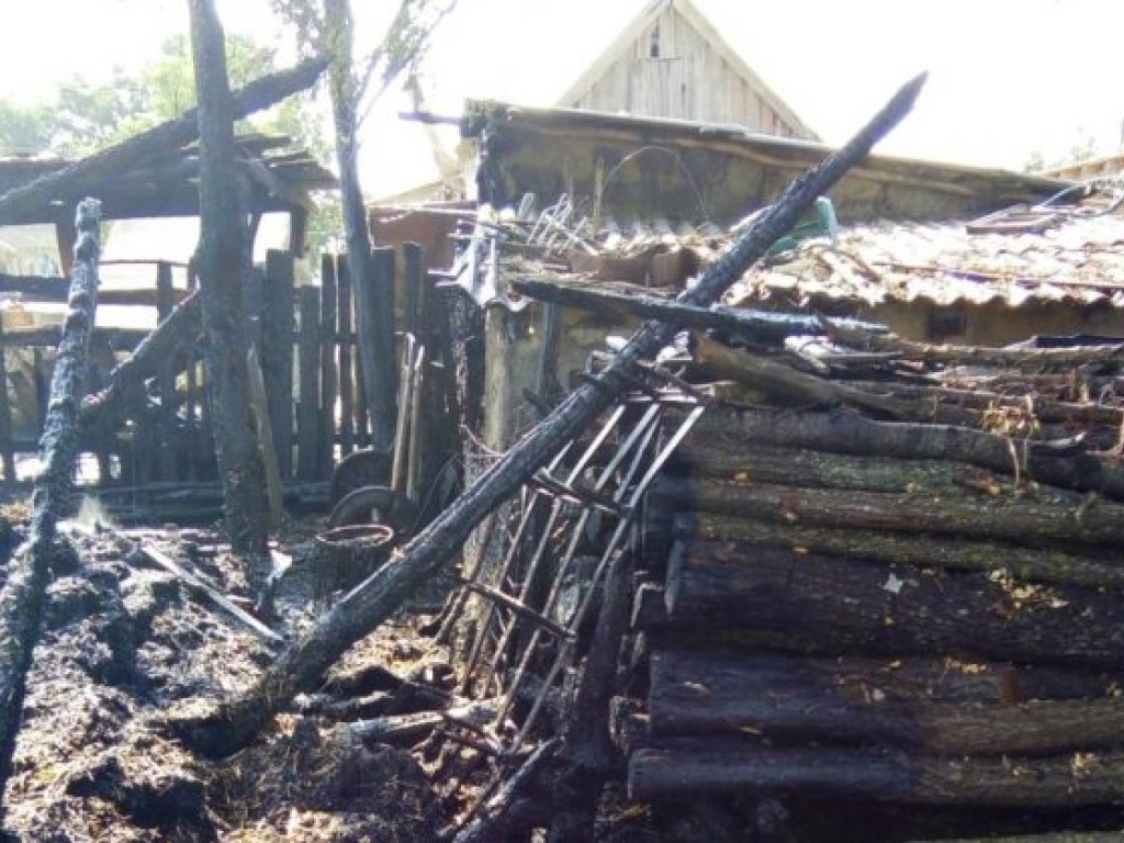 На Одесщине из-за пожара в жилом доме сгорел весь урожай (ФОТО)