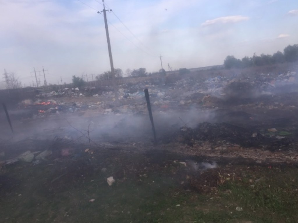 В Житомирской области произошел пожар на свалке площадью 600 квадратных метров (ФОТО)