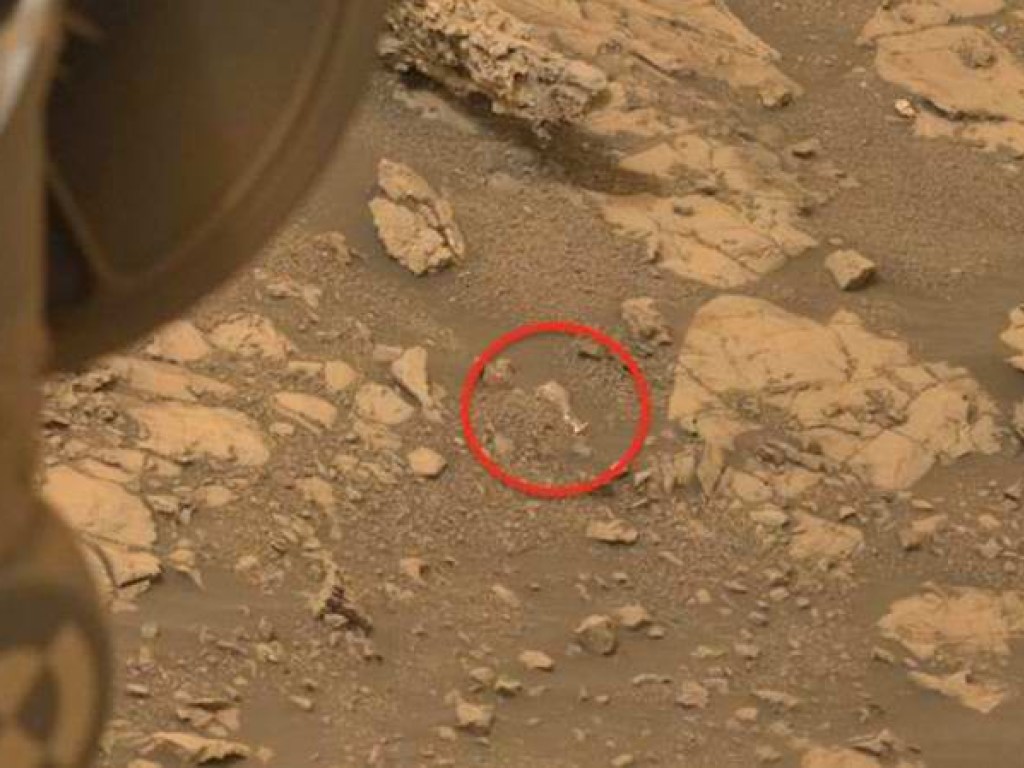 На Марсе заметили старинную «древнегреческую» амфору (ФОТО, ВИДЕО)